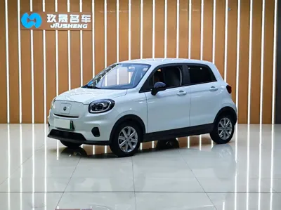 Leapmotor Leapmotor T03