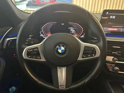 BMW 5 Series (Import)