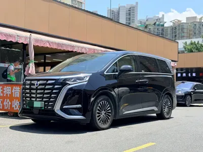 Denza Denza D9