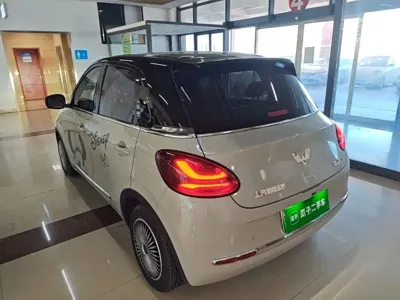 Wuling Bingo