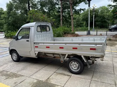 Wuling Zhiguang Mini Truck