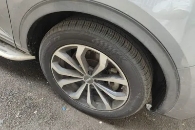 WEY VV6