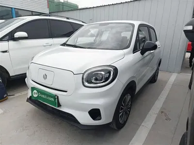 Leapmotor Leapmotor T03