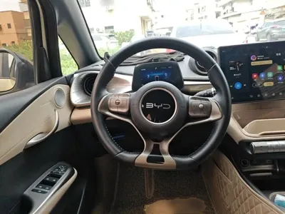 BYD Dolphin