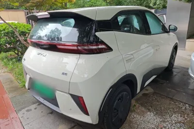 BYD Seagull