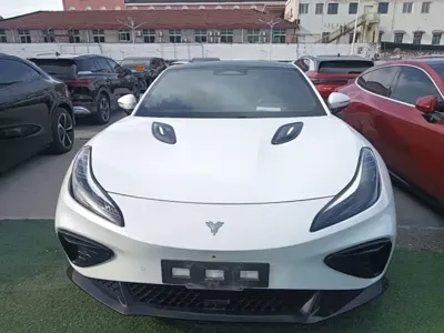 NETA Neta GT