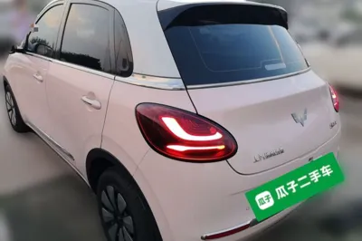 Wuling Bingo