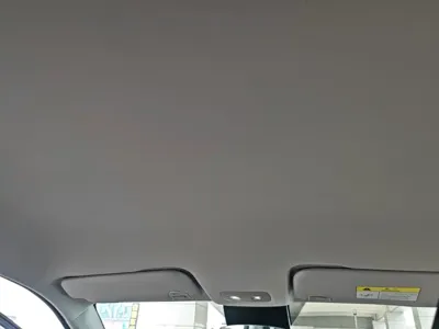 NETA Neta V