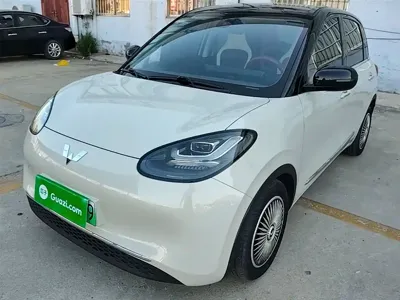 Wuling Bingo