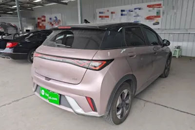 BYD Dolphin