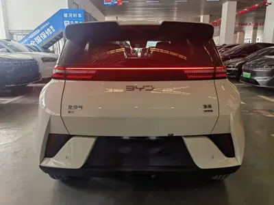 BYD Seagull