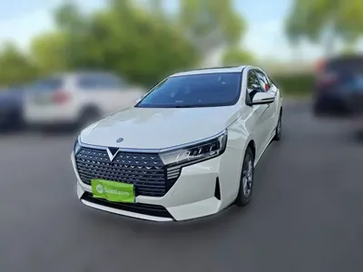 Venucia D60