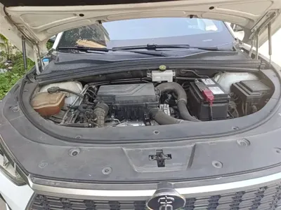 BYD PLUS