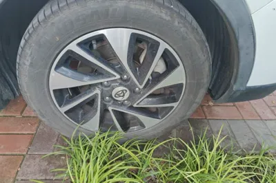 CHANGAN OSHAN A800