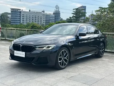 BMW 5 Series (Import)