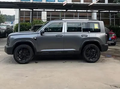 Haval Menglong Petrol