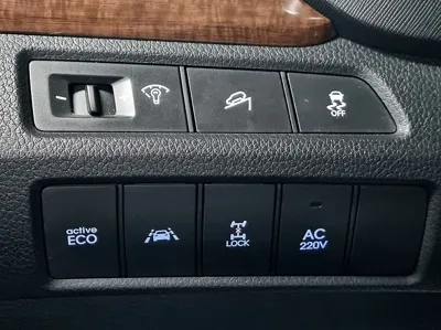 Hyundai Maxcruz