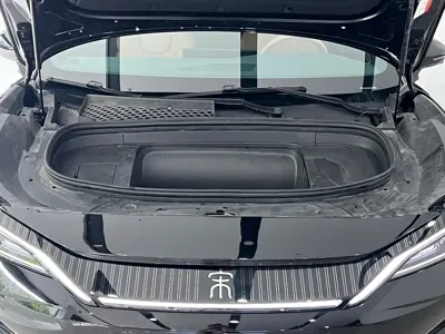BYD L EV