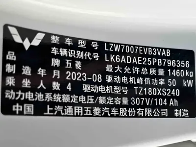 Wuling Bingo