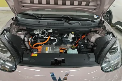 Wuling Bingo