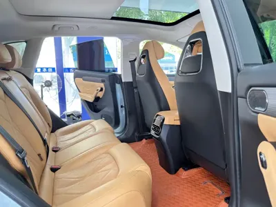 Leapmotor Leapmotor C11