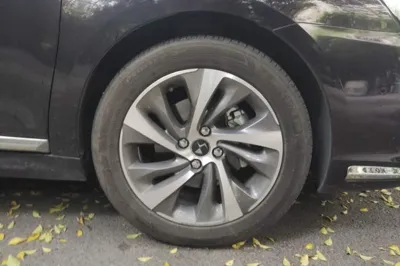 DS 5LS