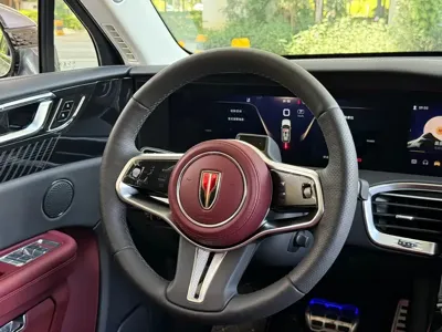 Hongqi Hongqi E-HS9