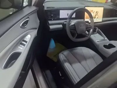 BYD 海狮06