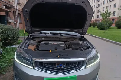 Geely Auto Vision S1