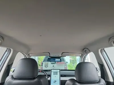 NETA Neta V