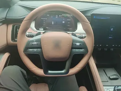 BYD L EV