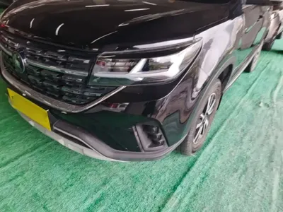 Fengxing Fengxing T5