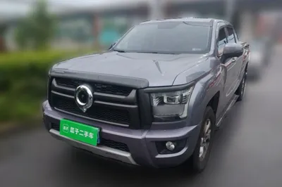 Great Wall King Kong Poer
