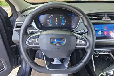 Geely Auto Binray