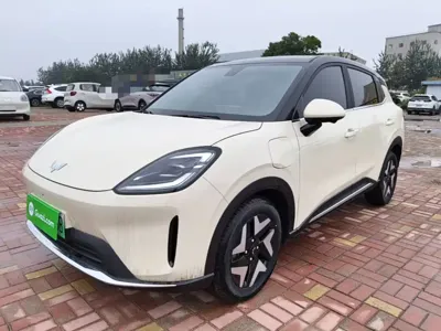 Wuling Bingo S