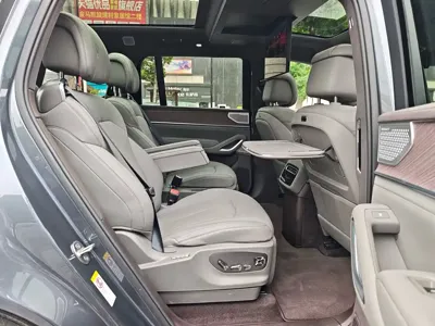 Denza 腾势N9