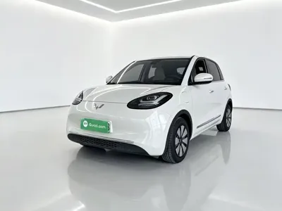 Wuling Bingo