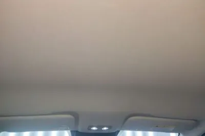 NETA V