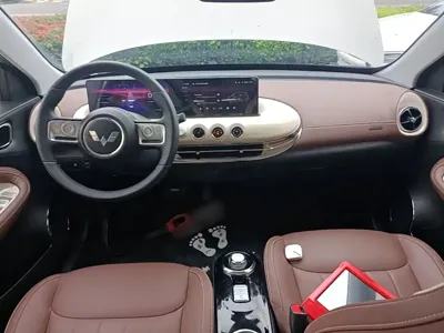 Wuling Bingo