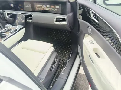 Hongqi Hongqi E-HS9
