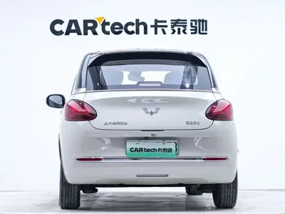 Wuling Bingo