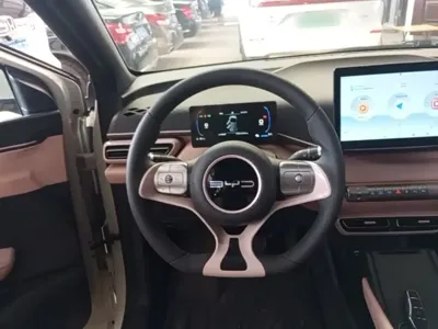 BYD Seagull