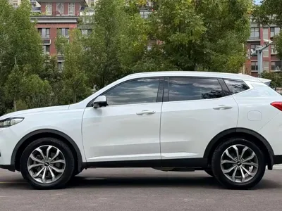 WEY Wey VV6