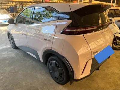 BYD Seagull