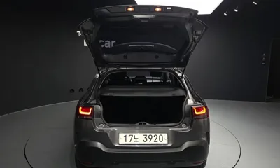 Citroen-DS C4 CACTUS