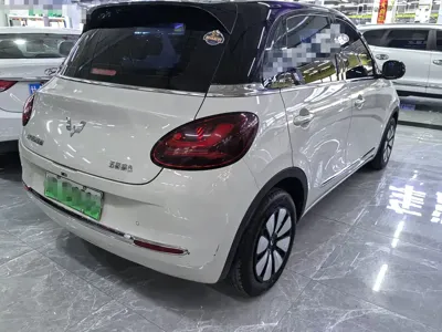 Wuling Bingo