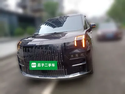 Zeekr 009