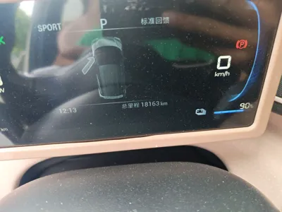 BYD Seagull