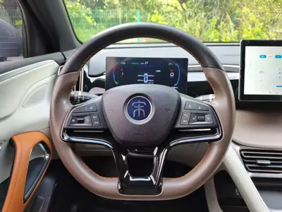 BYD Pro New Energy