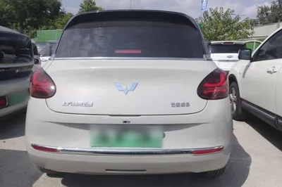 Wuling Bingo